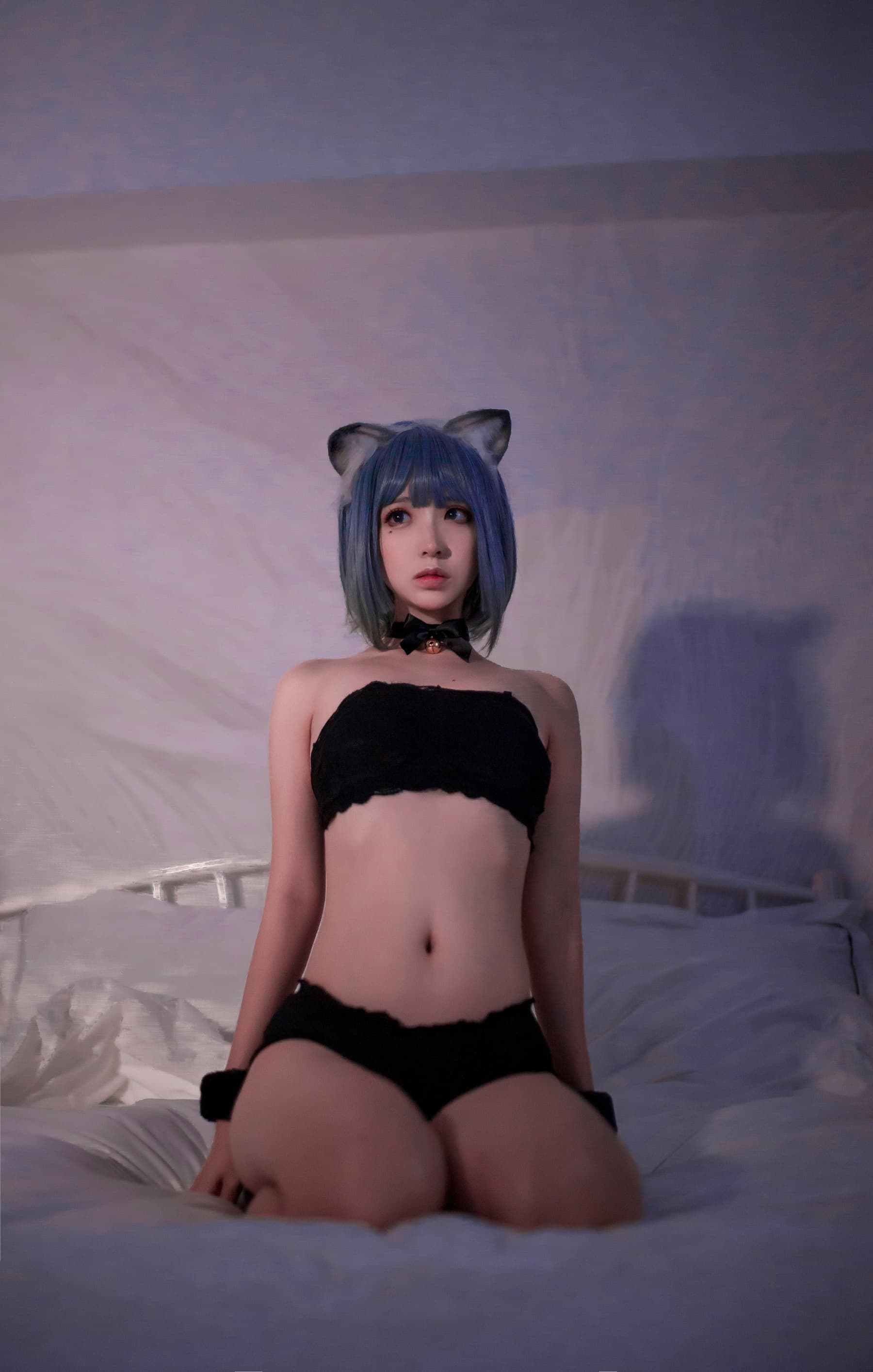 NO.037 黑猫 – [疯猫ss] - 喵图录