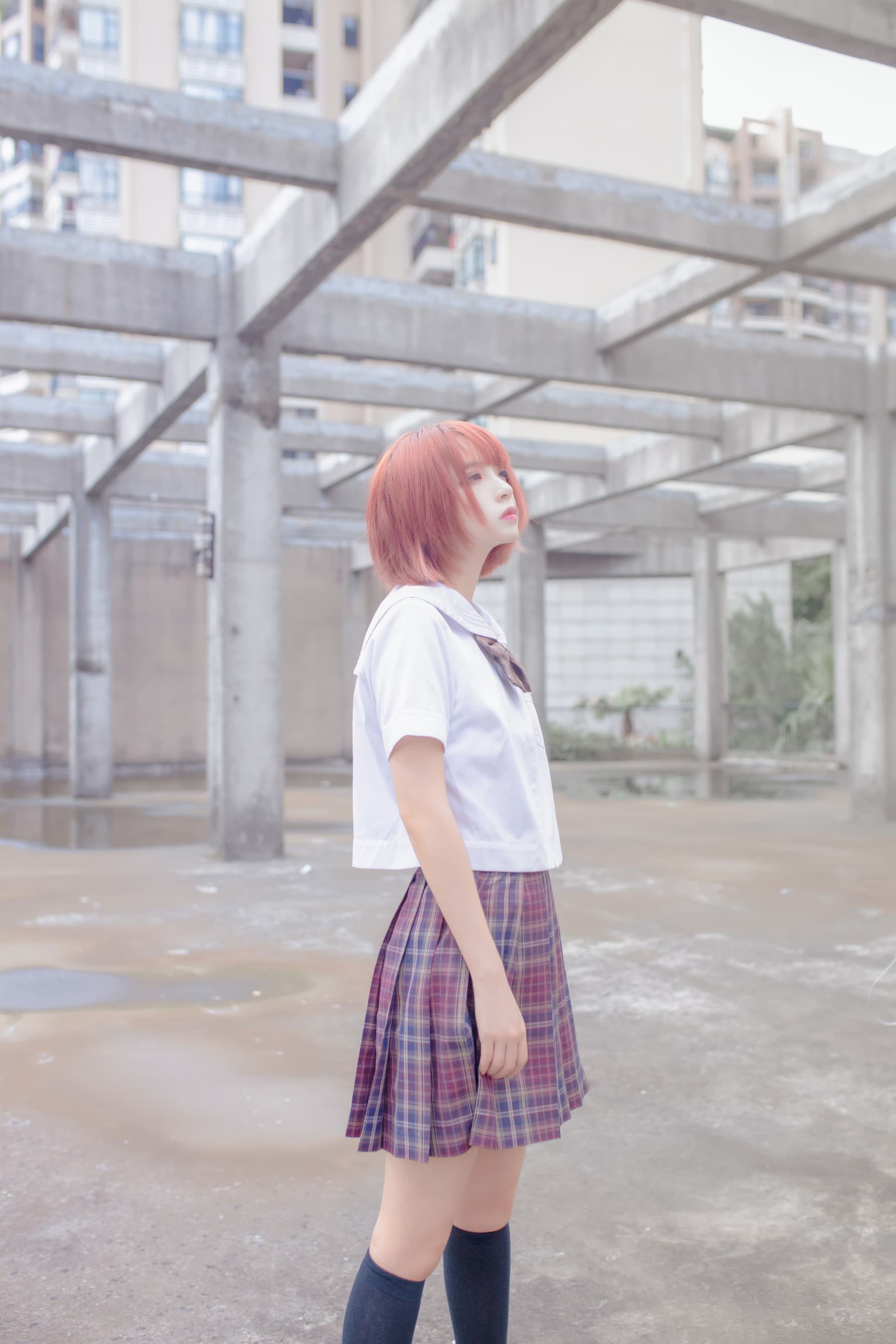 NO.046 和猫 – [疯猫ss] - 喵图录