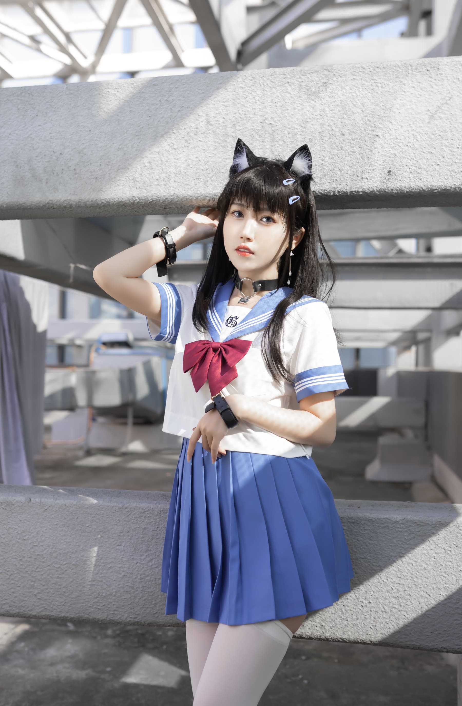 NO.042 天台小m猫 – [不呆猫] - 喵图录