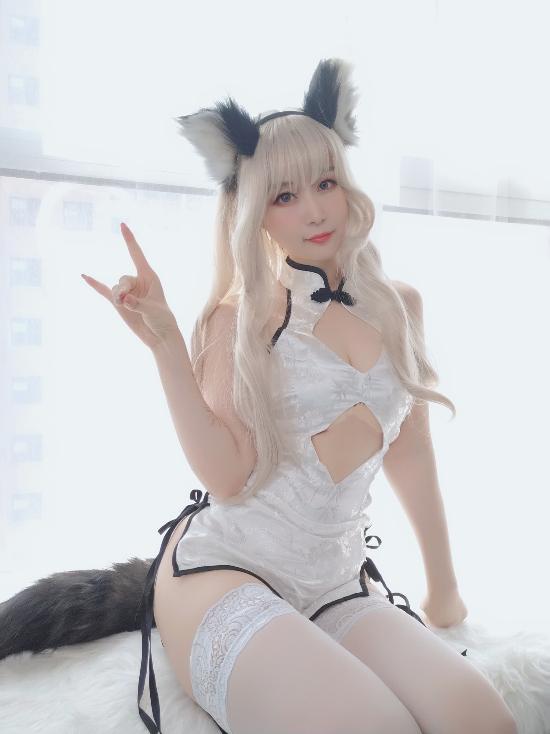 NO.022 小白狼 – [白银81] - 喵图录