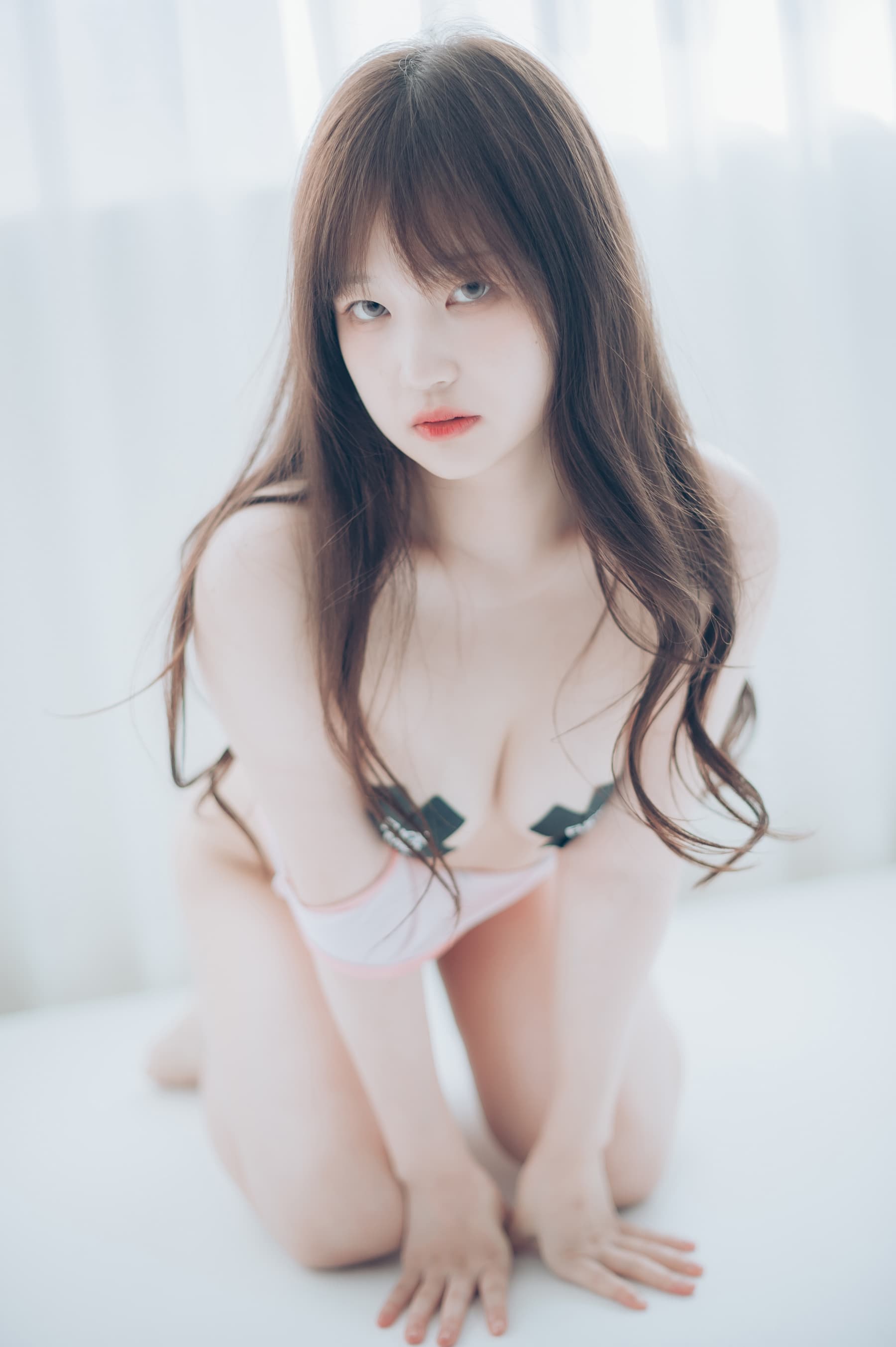 NO.013 DOLPHIN 22. January – [Sia] - 喵图录