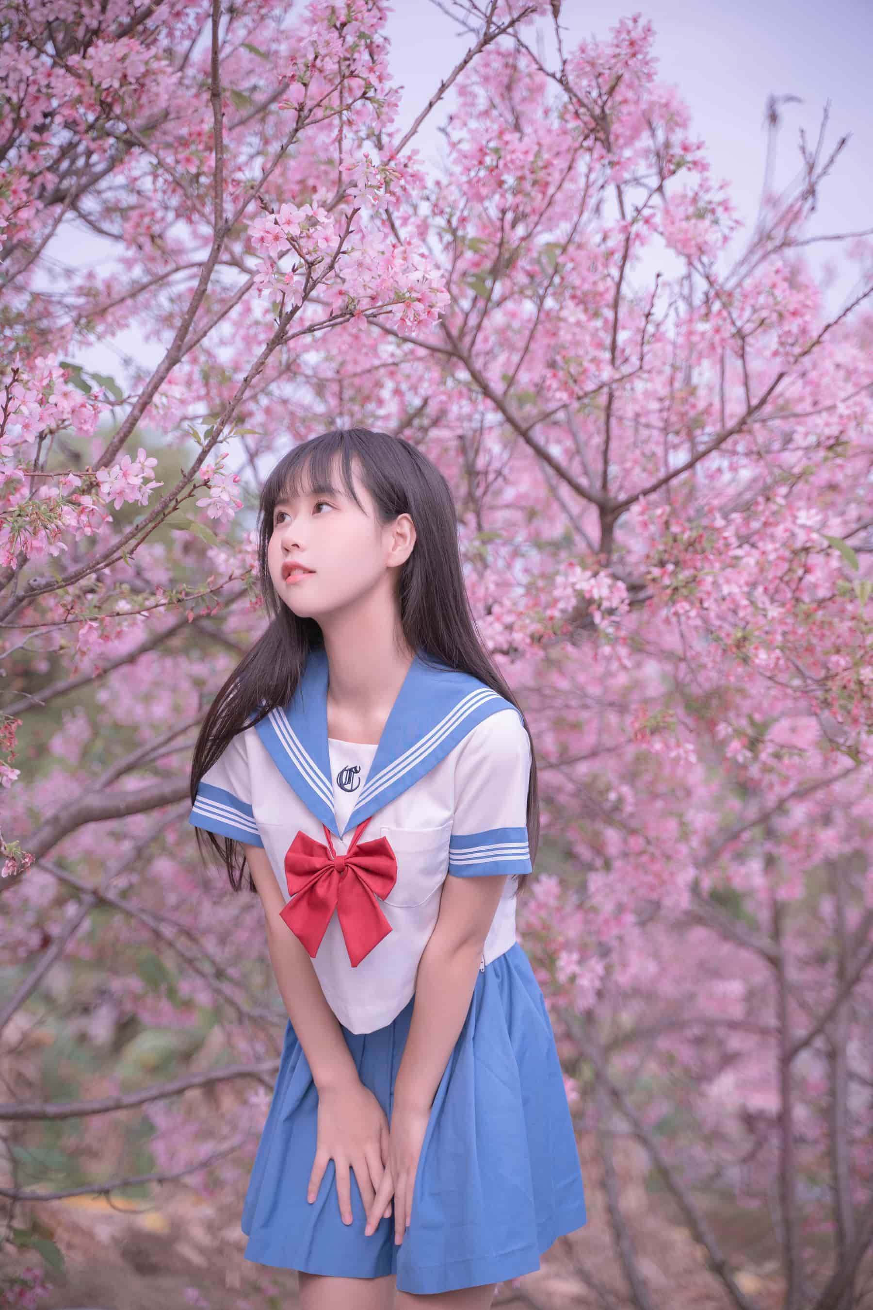 NO.029 樱花JK – [萌芽儿o0] - 喵图录