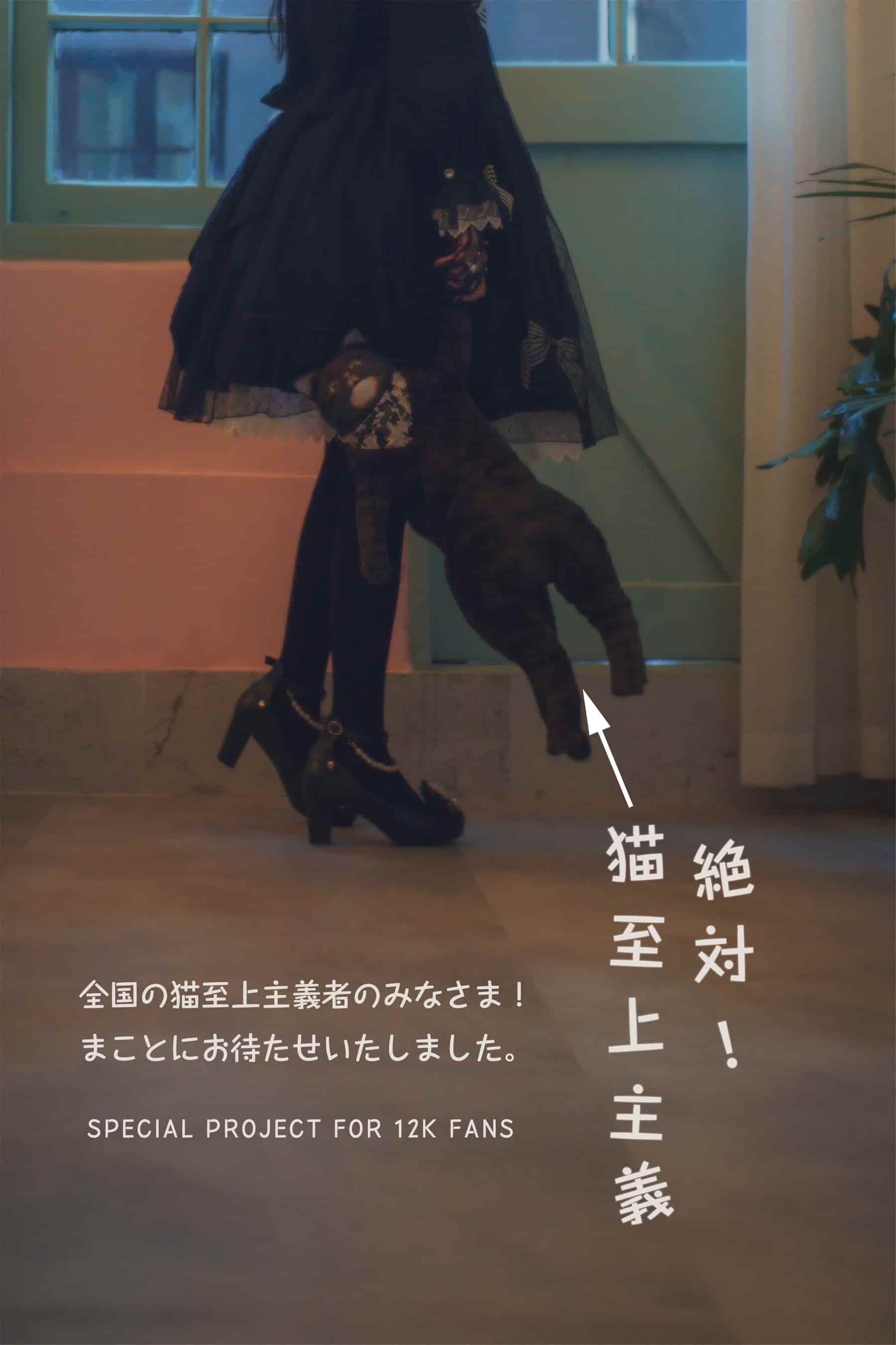 NO.036 绝对！猫至上主义 – [木花琳琳是勇者] - 喵图录