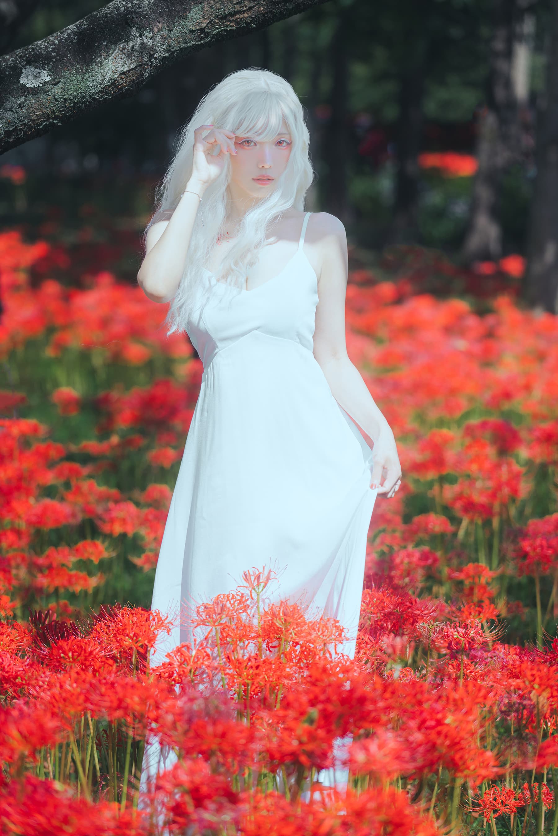 NO.153 BWhite spider lily 白瓷彼岸 – [ElyEE子] - 喵图录