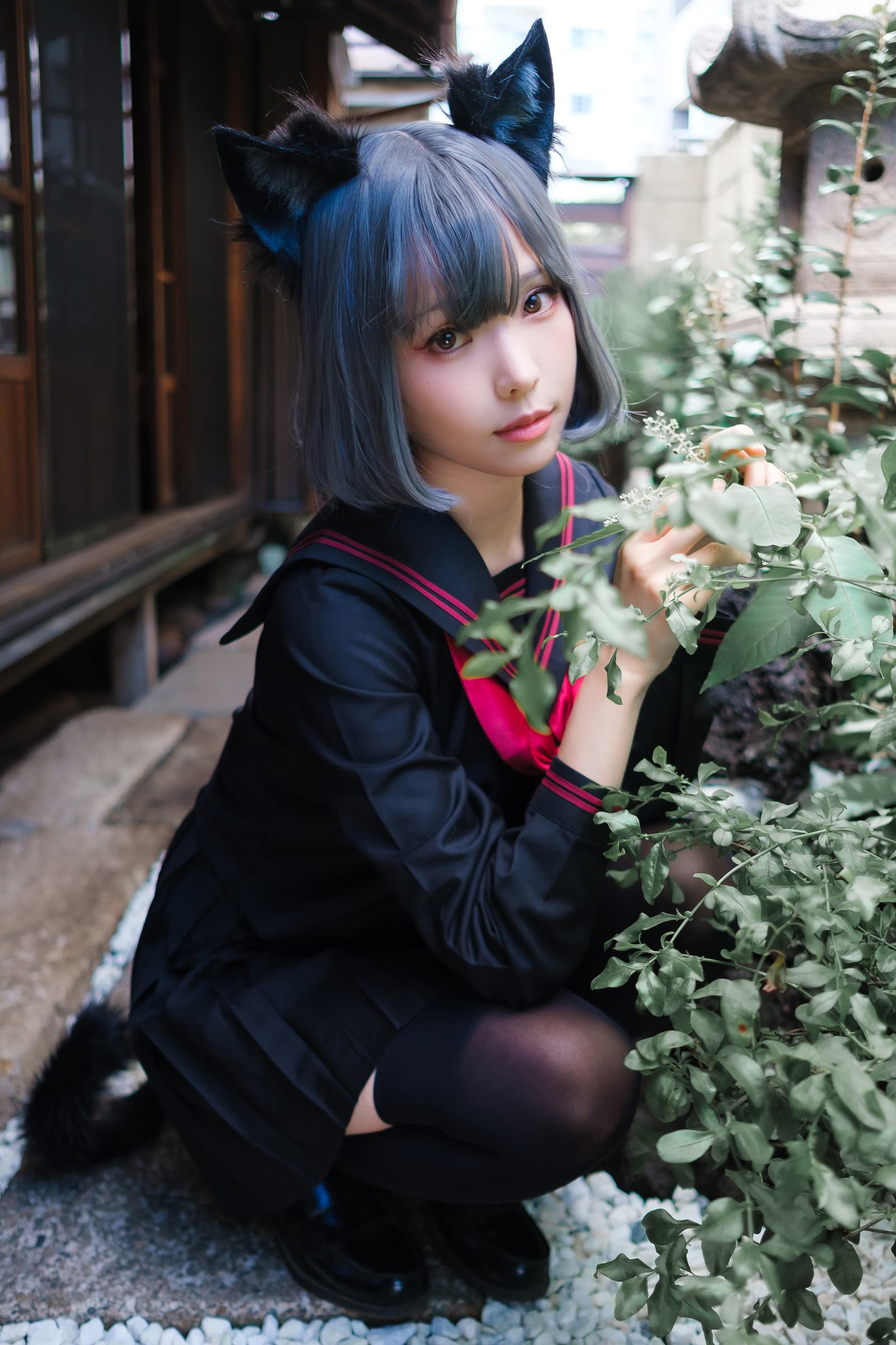 NO.169 Veranda Black Cat緣廊黑貓 – [ElyEE子] - 喵图录
