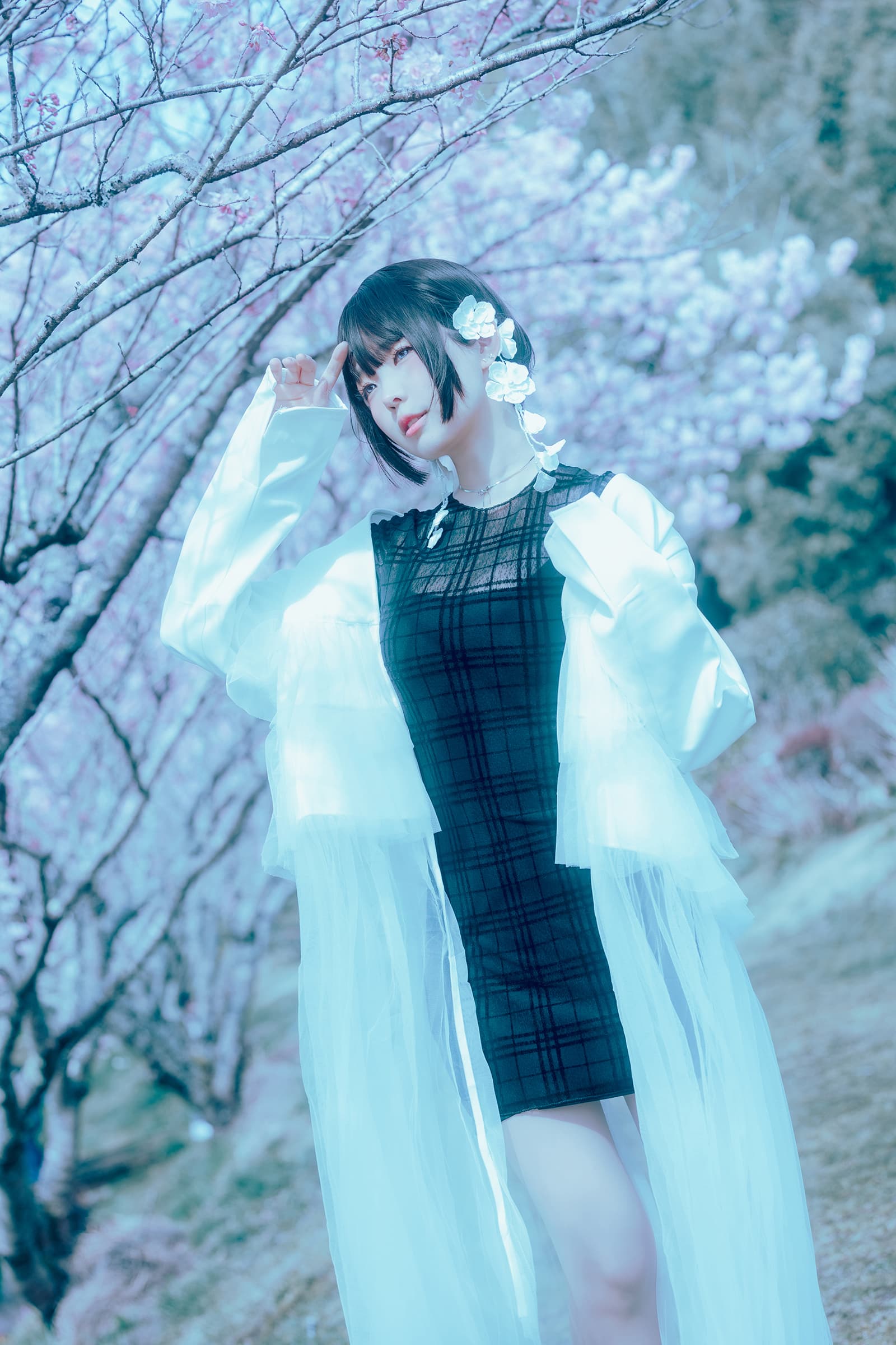NO.195 2024年04月订阅 (3套) – [ElyEE子] - 喵图录