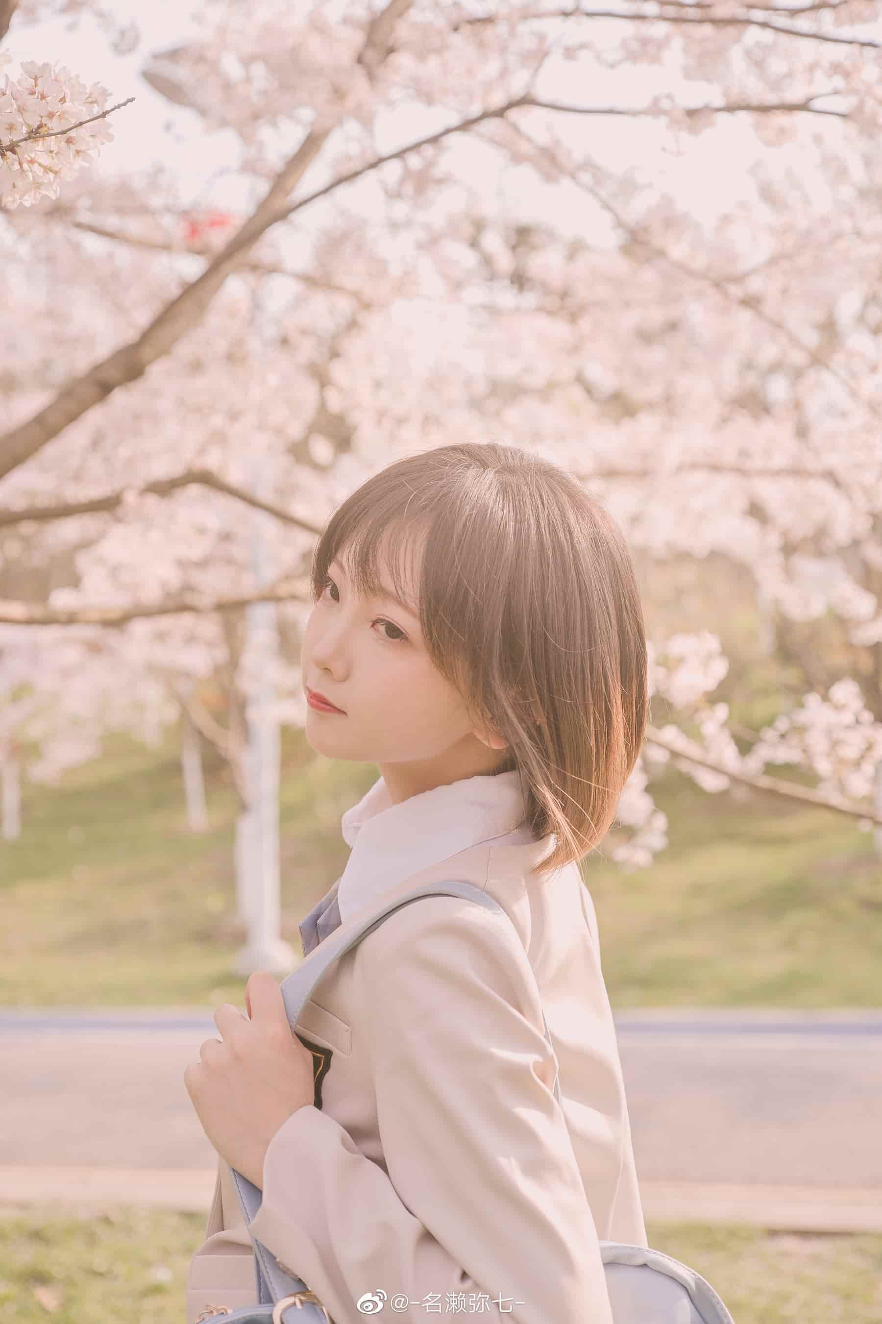 NO.003 樱花 – [名赖弥七] - 喵图录