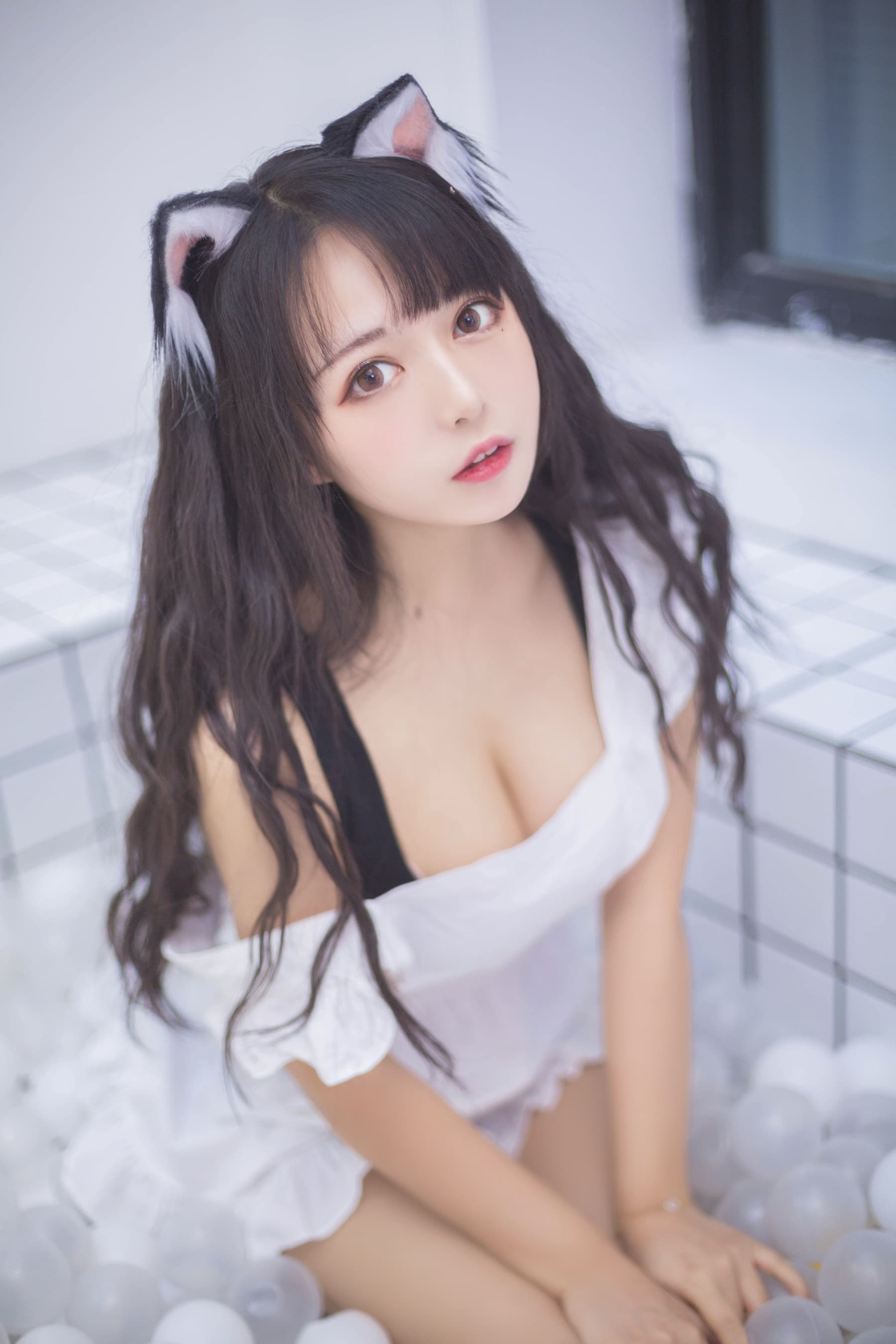 NO.006 海洋球喵 – [黑猫猫] - 喵图录
