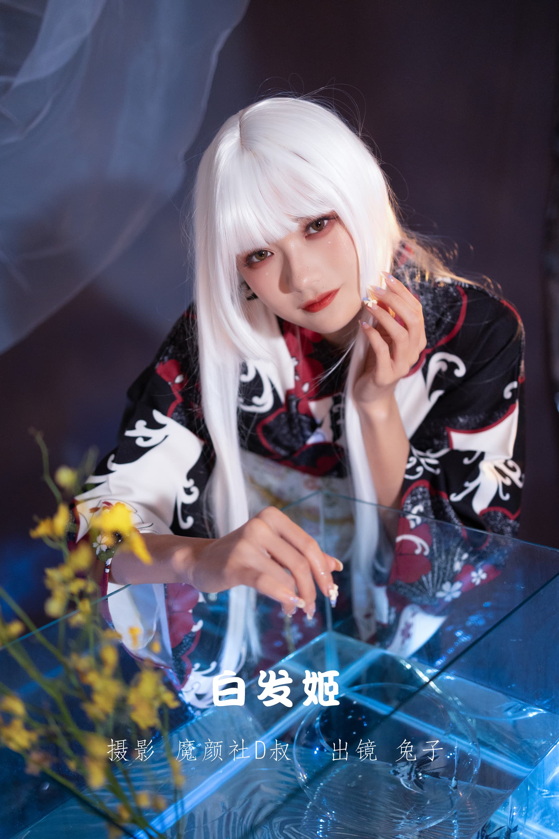 NO.005 白发姬 – [兔子Zzz不吃胡萝卜] - 喵图录