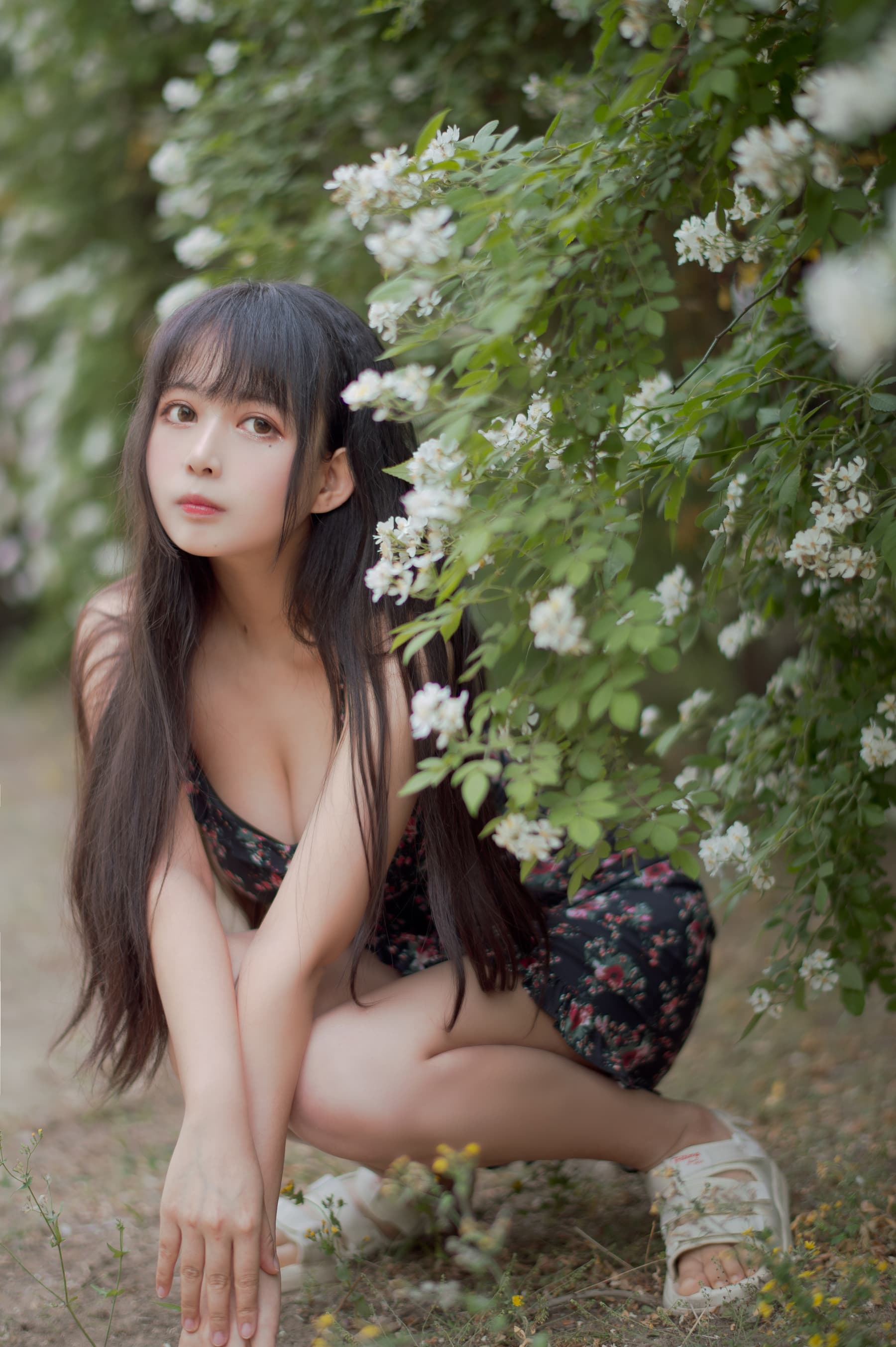 NO.021 蔷薇1 – [黑猫猫] - 喵图录