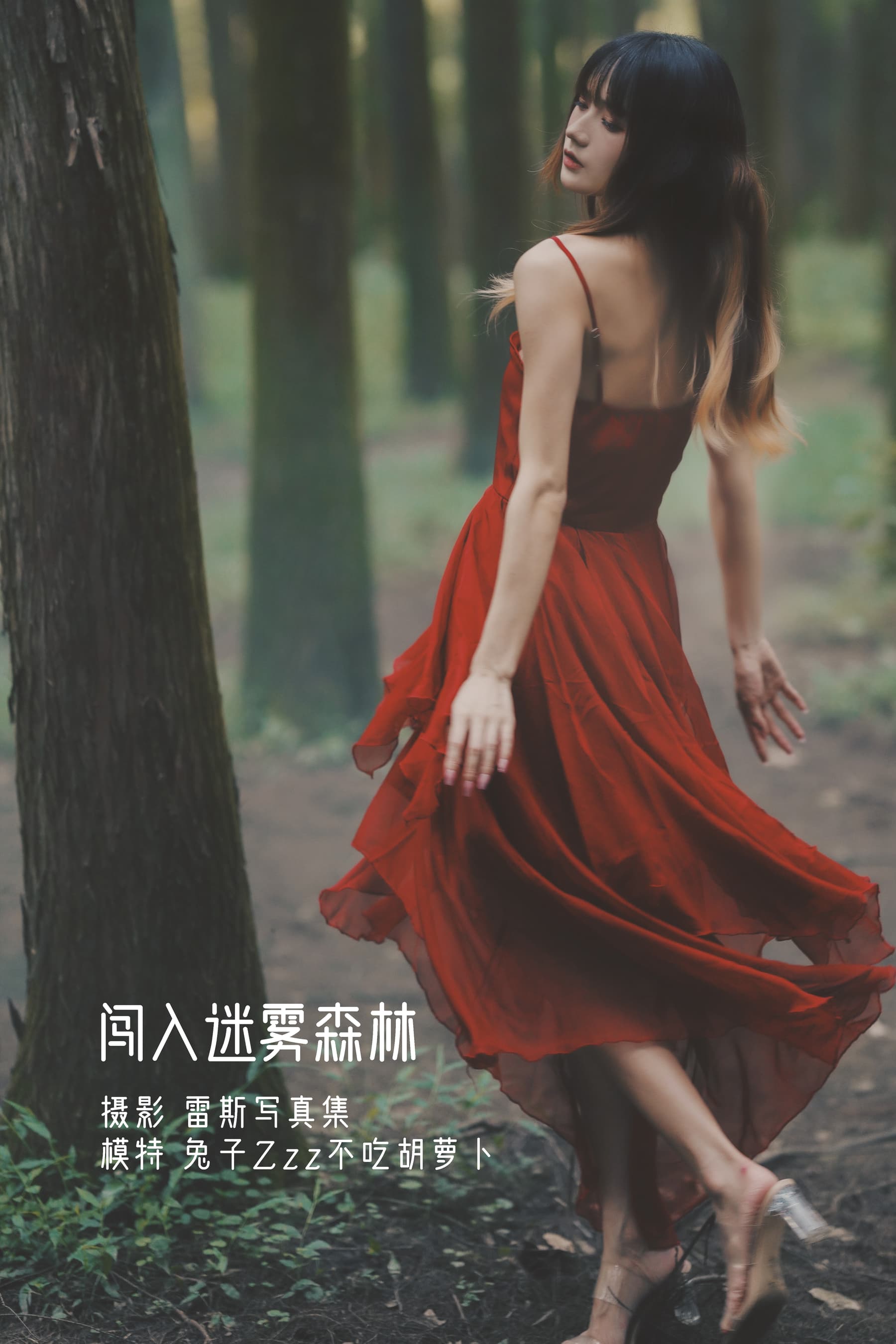 NO.037 闯入迷雾森林 – [兔子Zzz不吃胡萝卜] - 喵图录