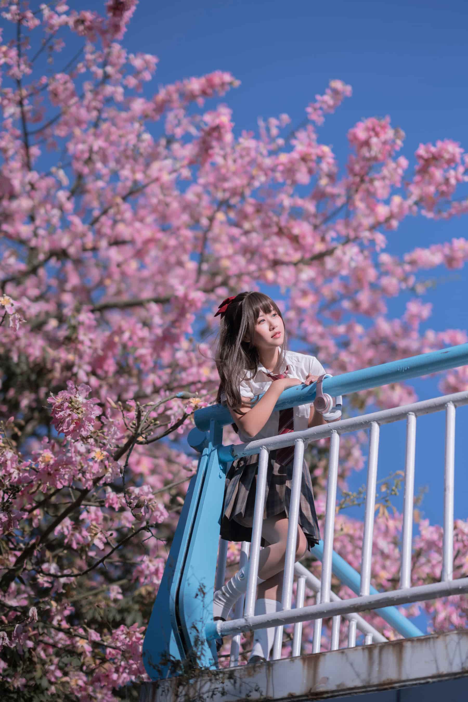 NO.027 异木棉花 – [萌芽儿o0] - 喵图录